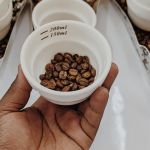 How Kenyan Coffee Moves from Cooperative to Export