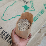 Traceability & Transparency in Kenyan coffee